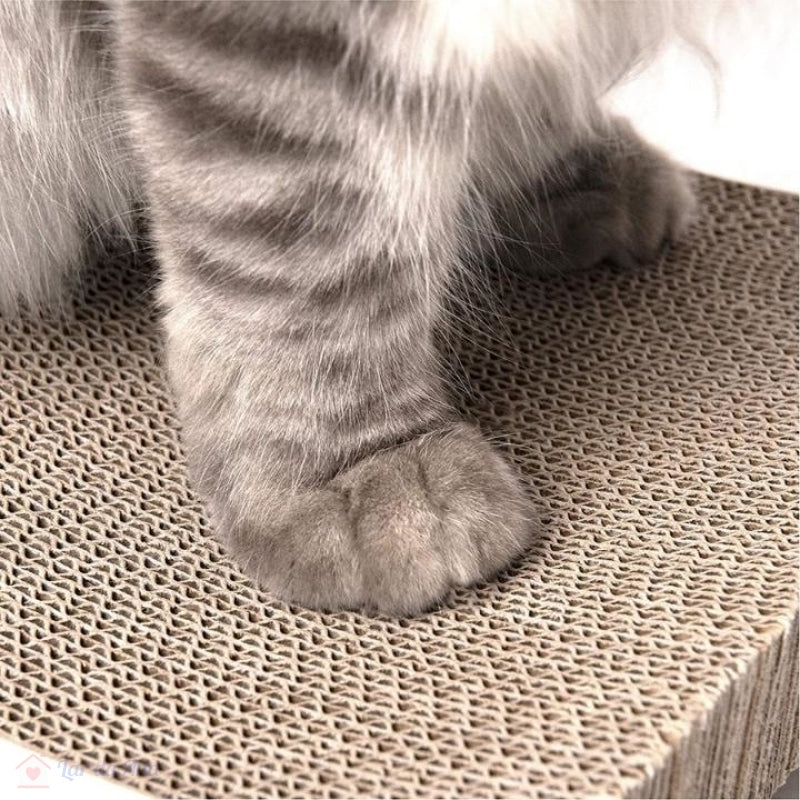 Arranhador para Gatos em Papelão de Alta Durabilidade Reversível Lar da Ana