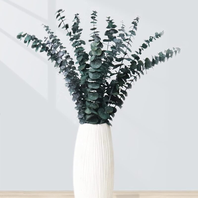 Arranjo Desidratado Eucalipto + Vaso lar da ana