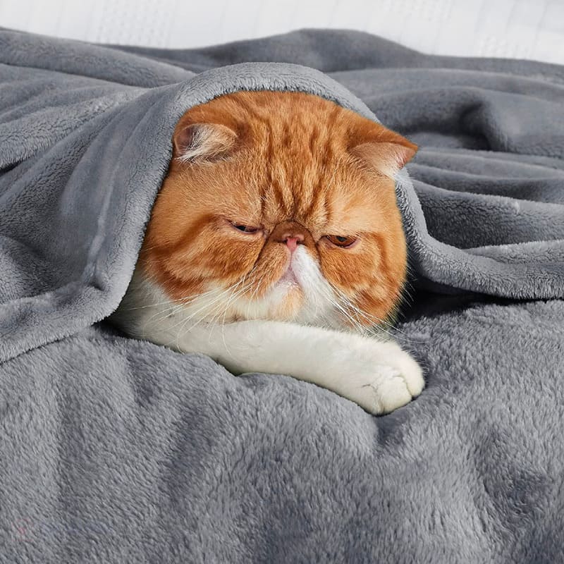 Cobertor Manta Microfibra Solteiro Casal Queen cinza claro lar da ana