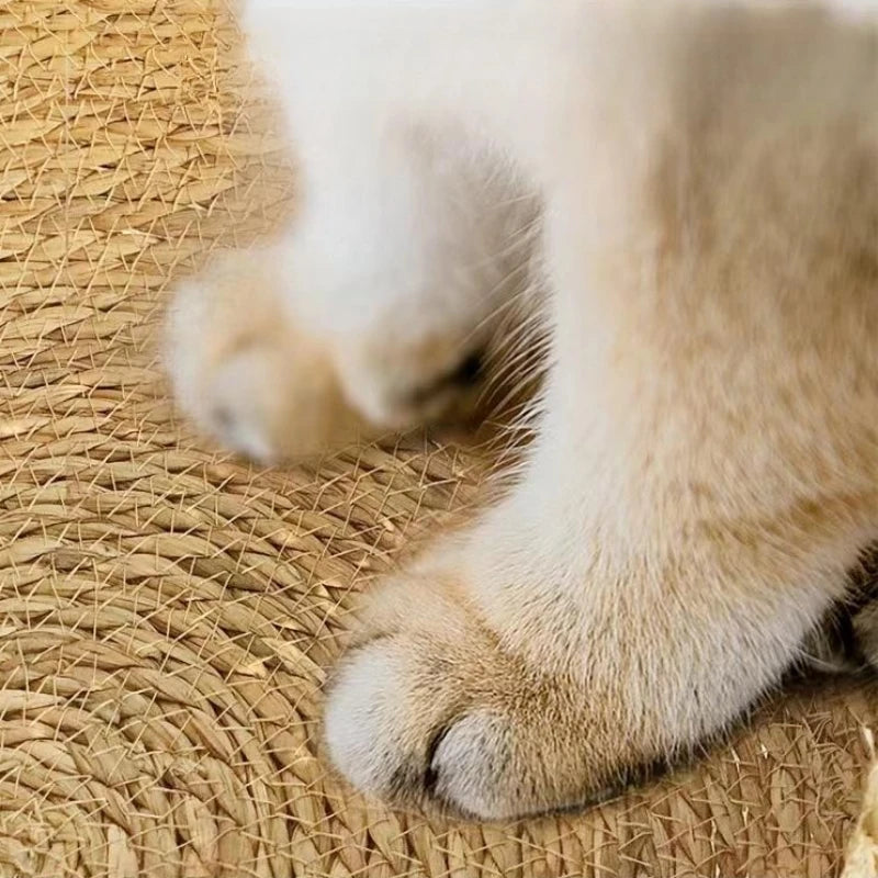 Cama Ninho para Gato Decorativa em Tecido Rattan com Almofadas lar da ana