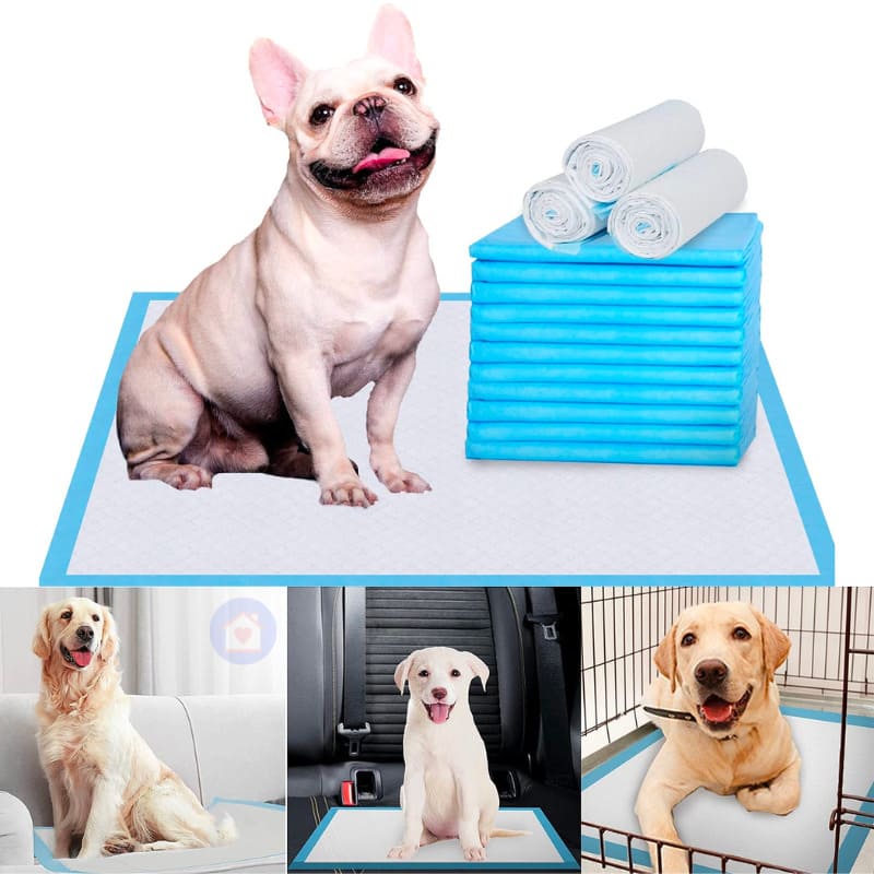 Kit com 100 Tapete Higiênico Pet Cachorro Descartável para Sofá Cama C ...
