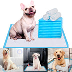 Tapete Higiênico Pet Cachorro Descartável para Sofá Cama Colchão